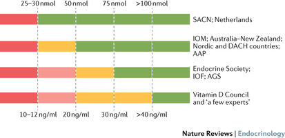 Vitamina D tem novos valores de referência Imagem 1